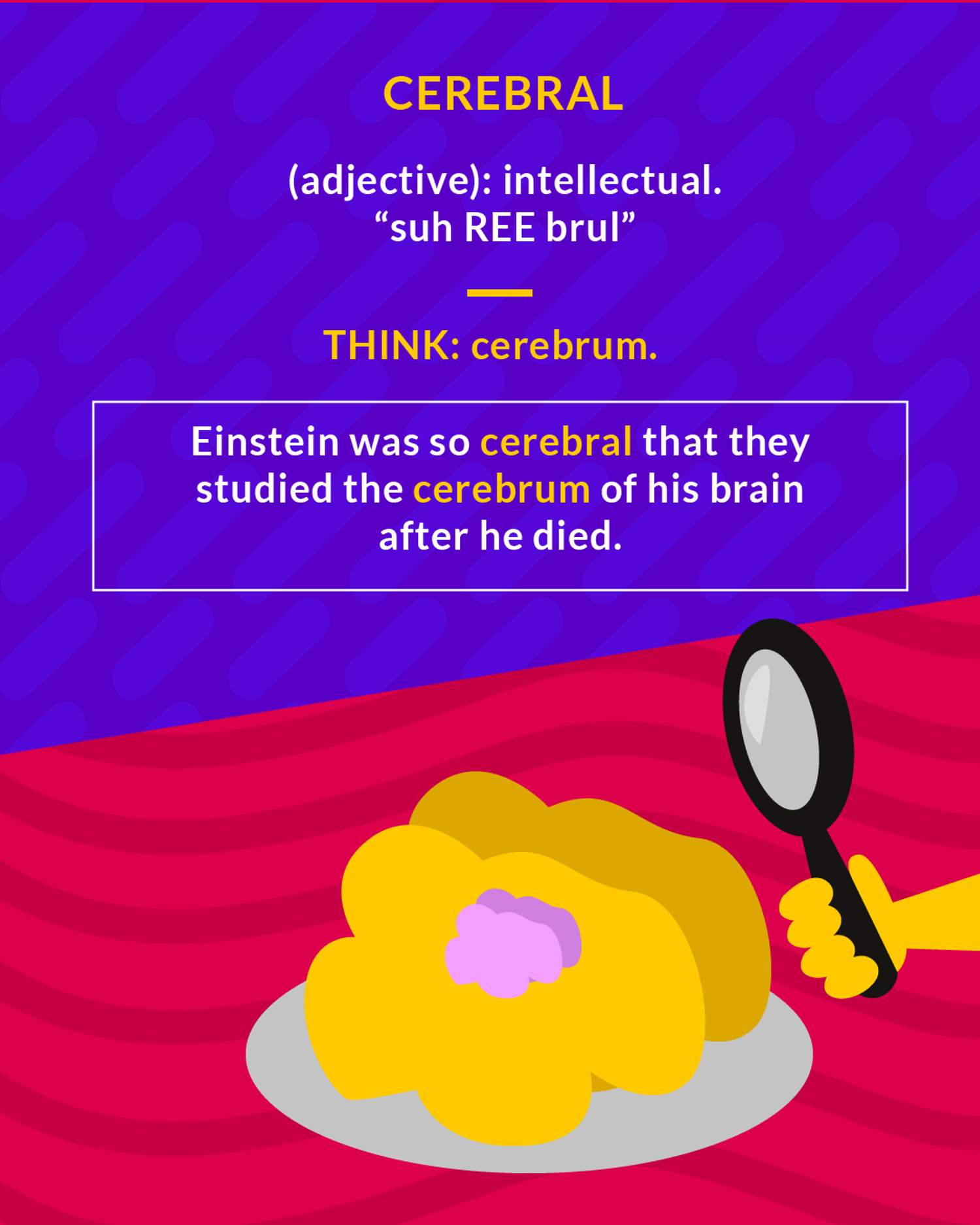 Cerebral cartoon: a magnifying glass over a brain on a plate